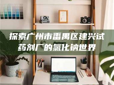 临沂探索广州市番禺区建兴试药剂厂的氯化钠世界