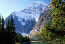 天涯社区：国际观察的热门平台