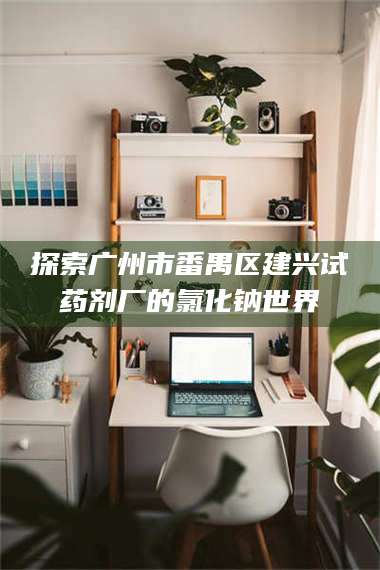 临沂探索广州市番禺区建兴试药剂厂的氯化钠世界 第1张